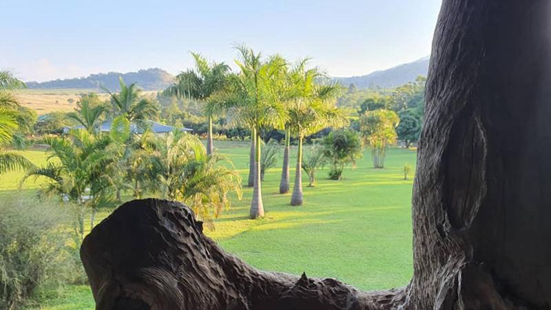 Benka Lifestyle Country Cottages Ezulwini Extérieur photo