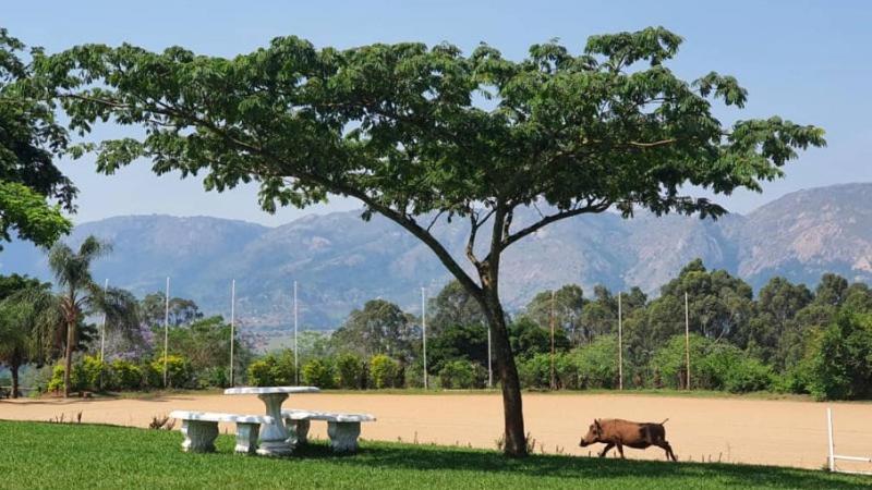 Benka Lifestyle Country Cottages Ezulwini Extérieur photo